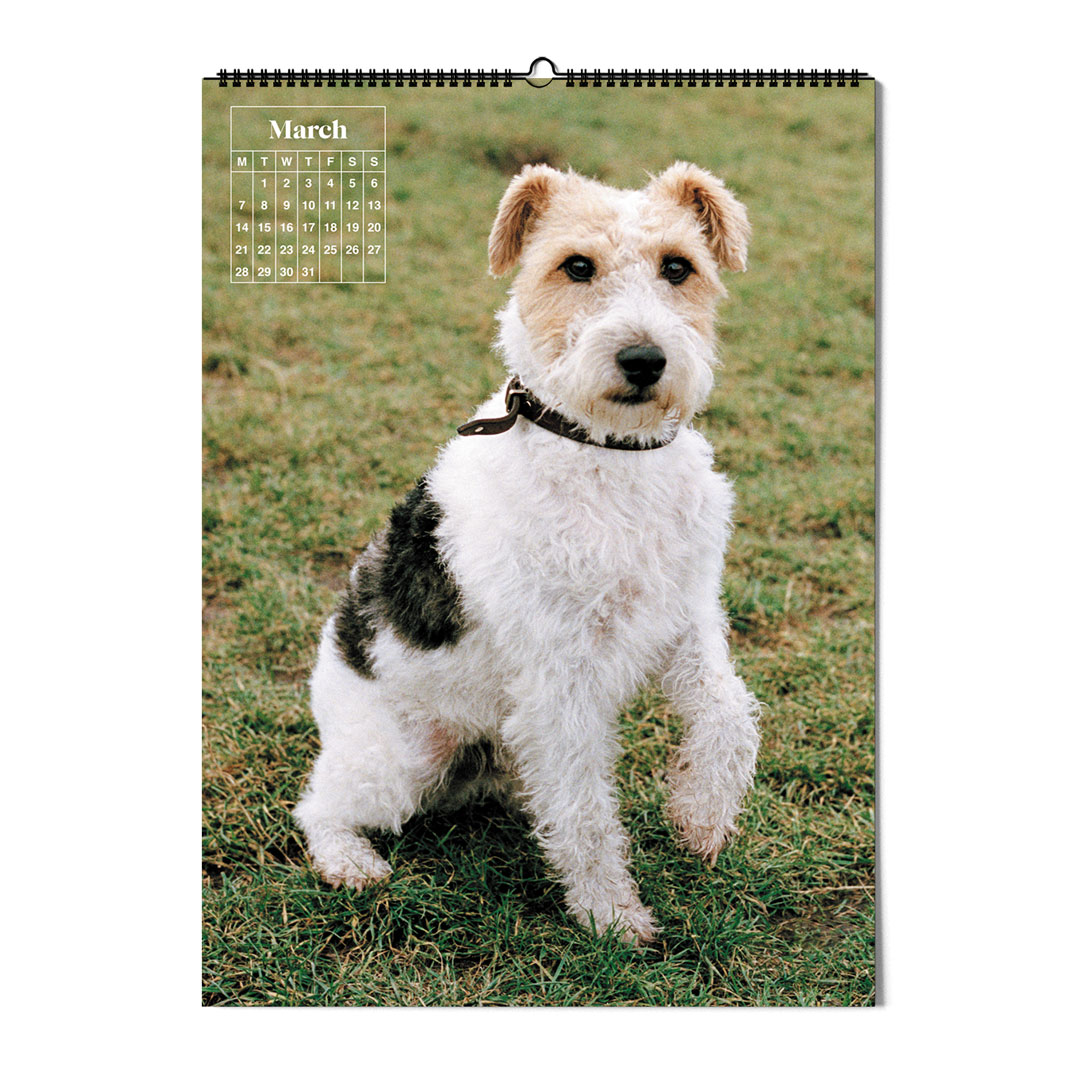 dogs-of-weserhalle-calendar-03