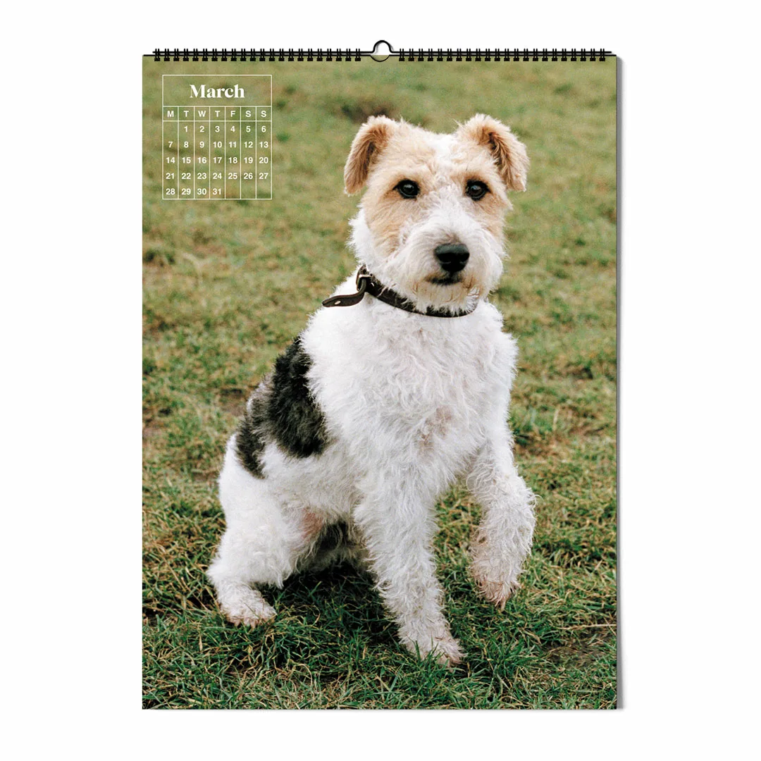 Calendar 2022: Dogs of Weserhalle
