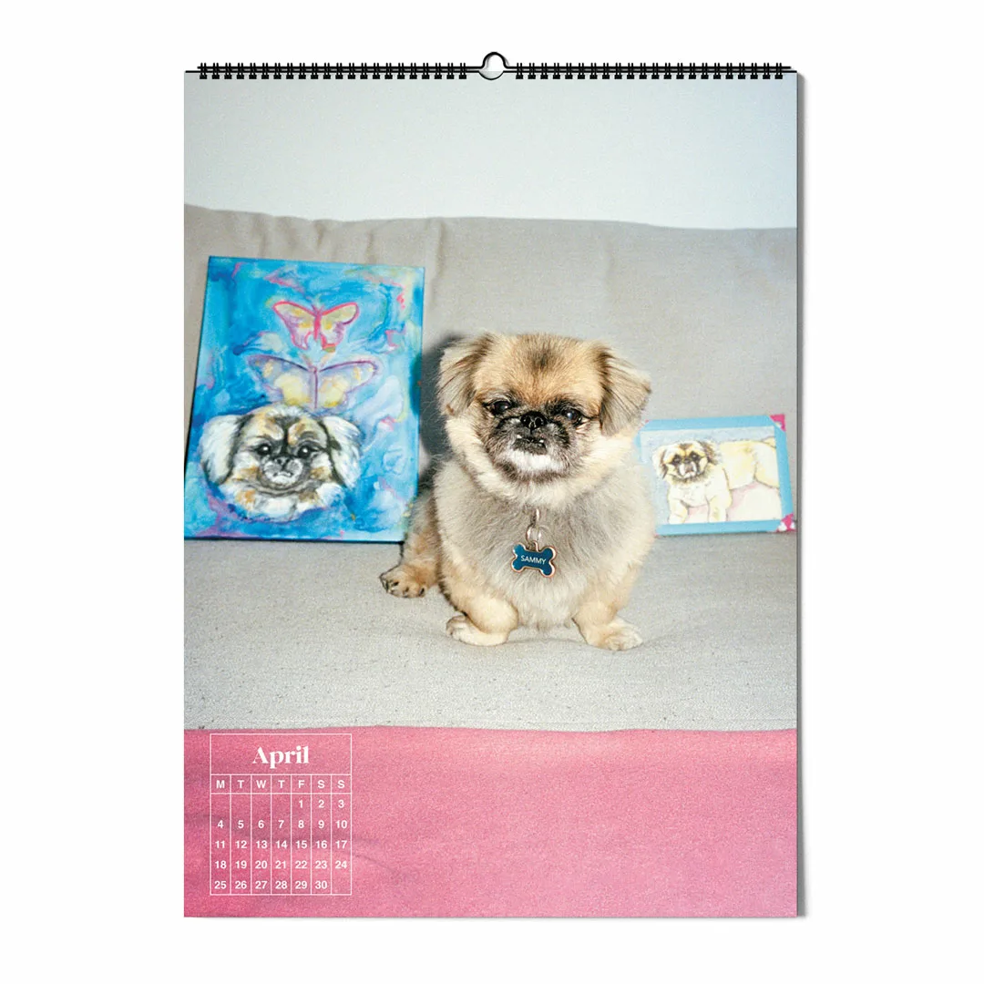 Calendar 2022: Dogs of Weserhalle