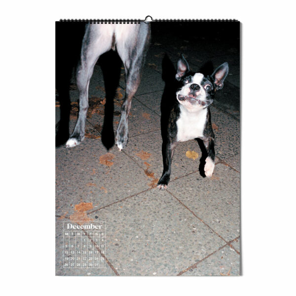 dogs-of-weserhalle-calendar-05