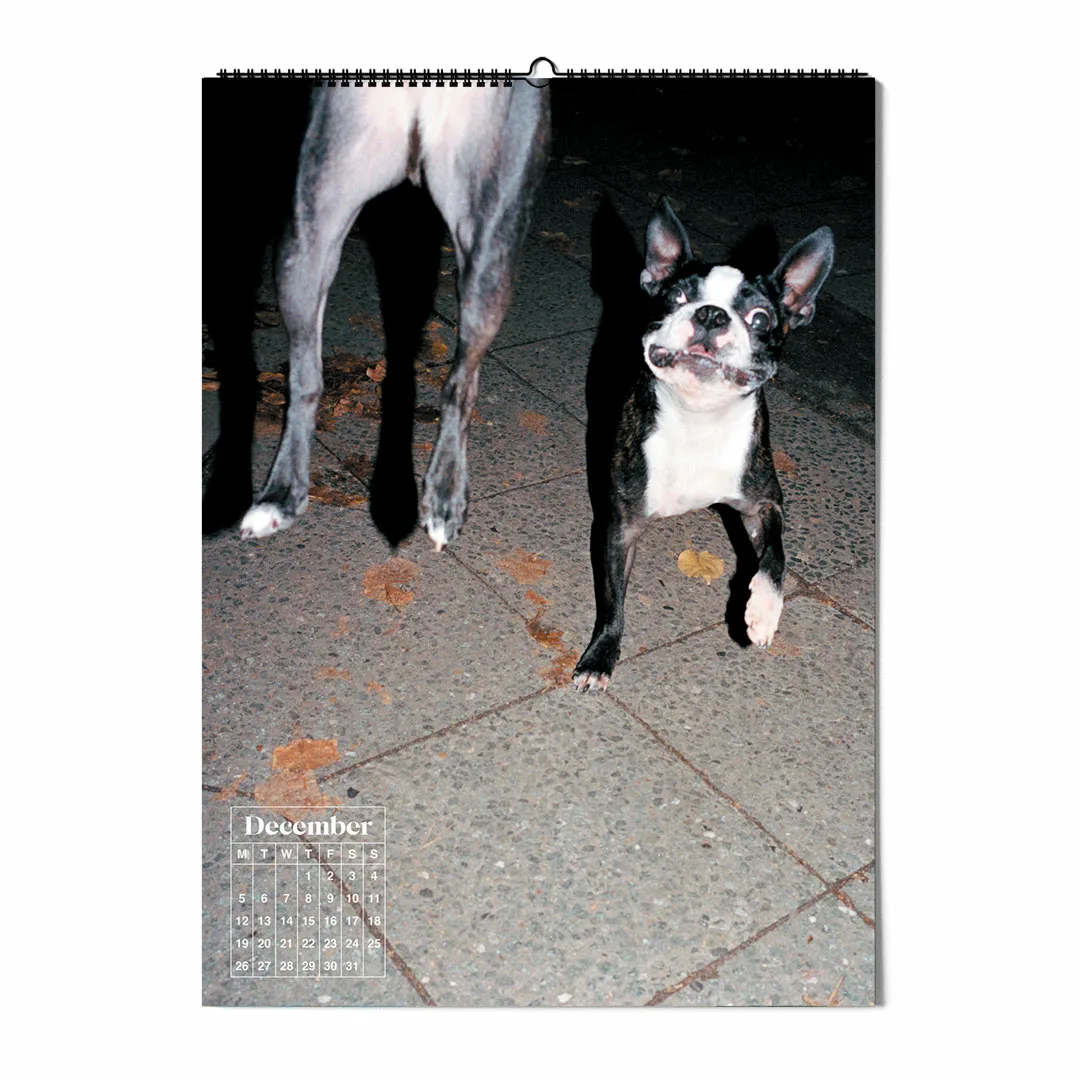 Calendar 2022: Dogs of Weserhalle