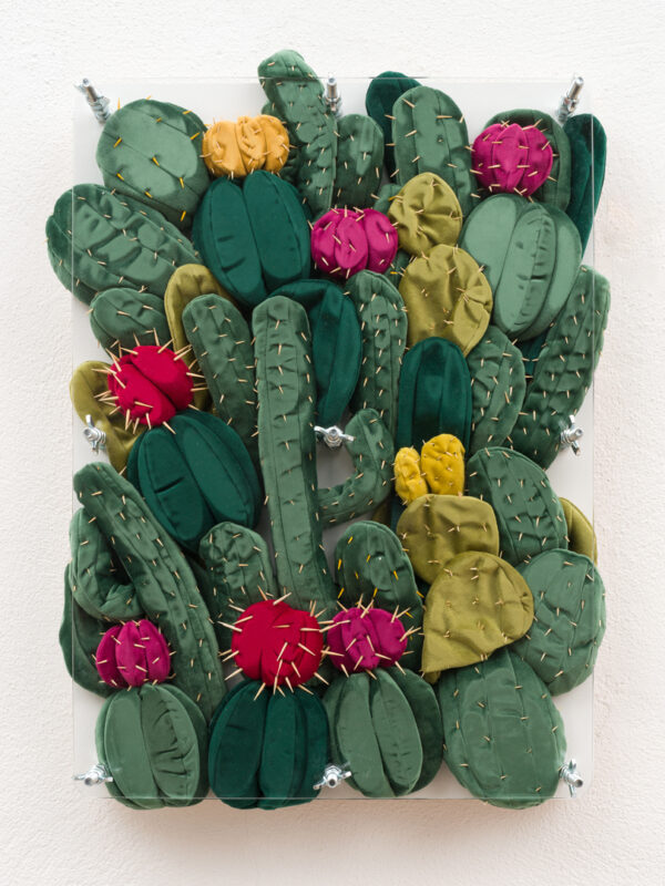 Velvet Cacti