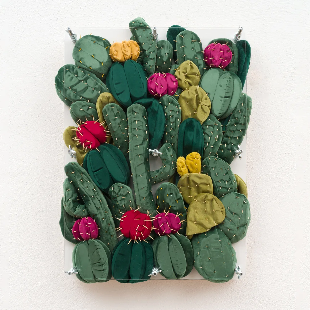 Velvet Cacti, 2023