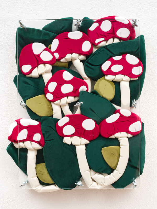 Velvet Mushrooms