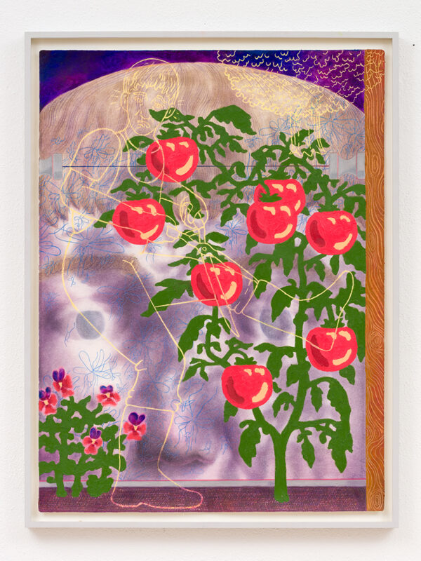 Tomato Support