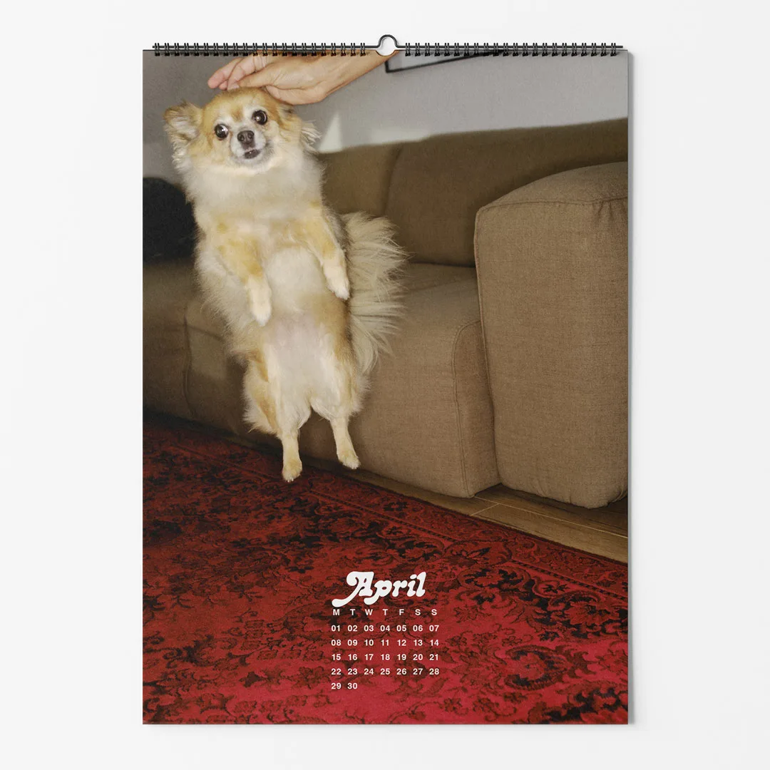 Calendar 2024: Dogs of Weserhalle