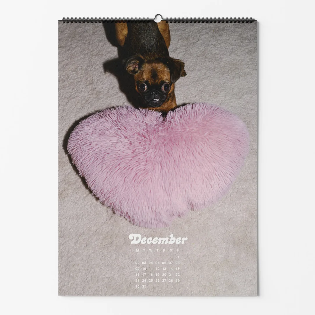 Calendar 2024: Dogs of Weserhalle