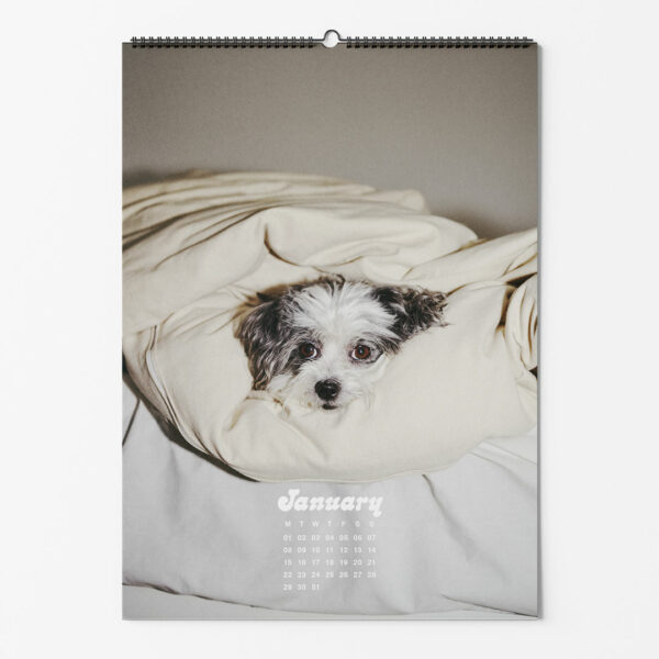 dogs-of-weserhalle-calendar-2024-jan