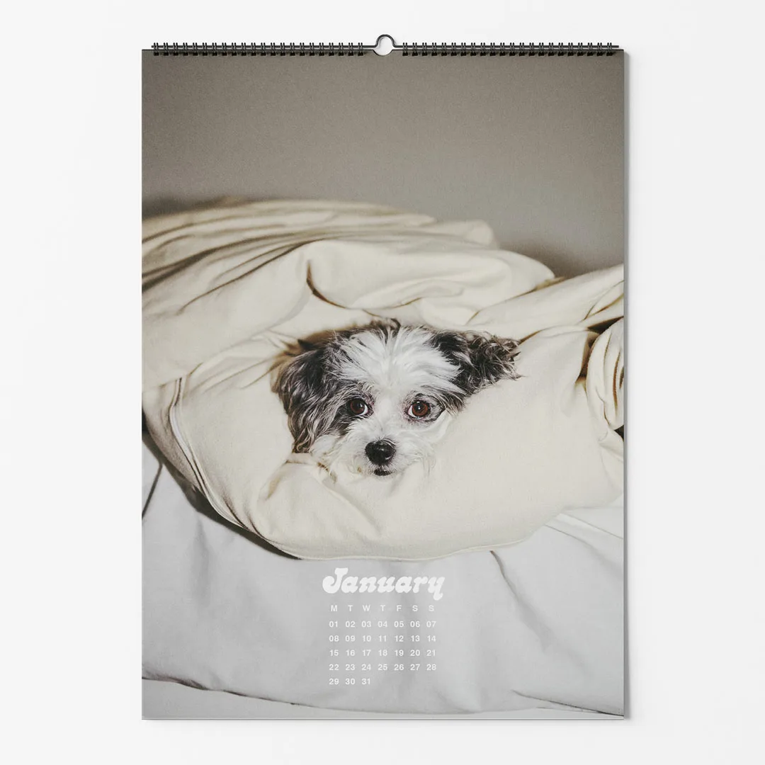 Calendar 2024: Dogs of Weserhalle