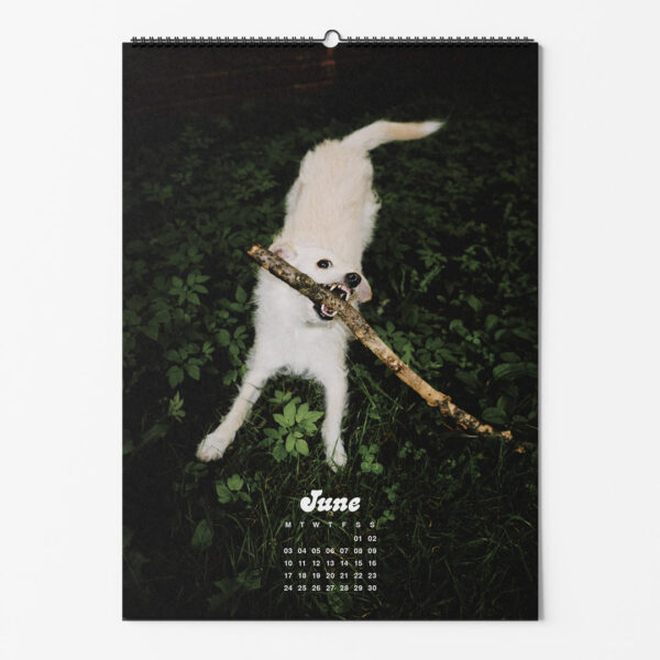 dogs-of-weserhalle-calendar-2024-june
