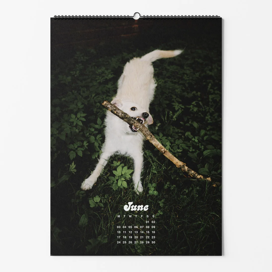 Calendar 2024: Dogs of Weserhalle