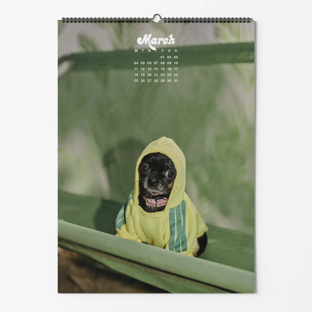 Calendar 2024: Dogs of Weserhalle