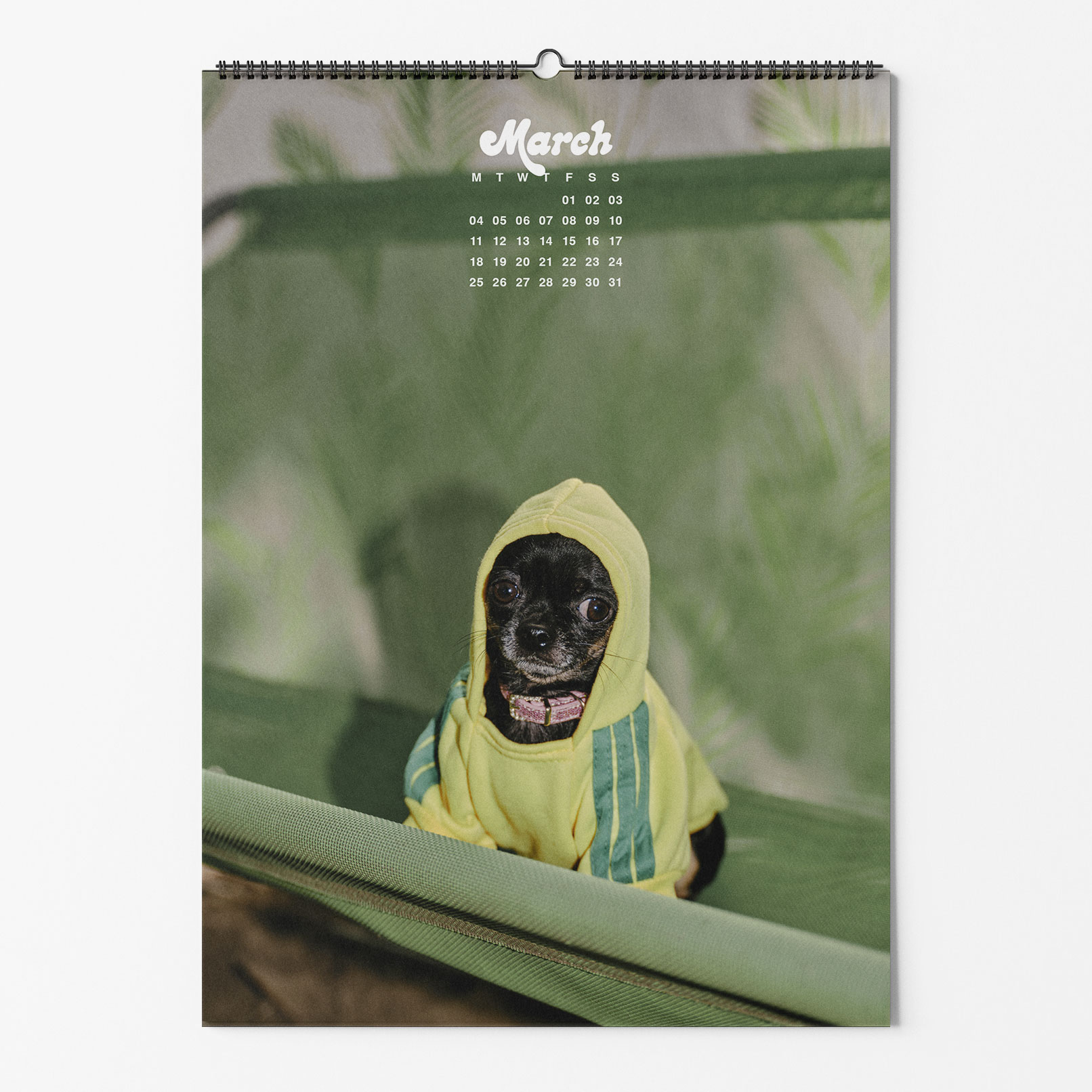 dogs-of-weserhalle-calendar-2024-march