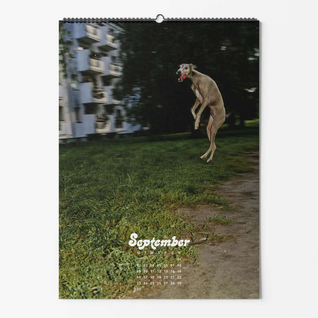 Calendar 2024: Dogs of Weserhalle