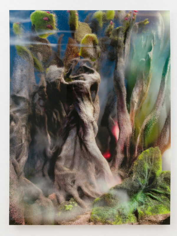 Rooted Resurgence I