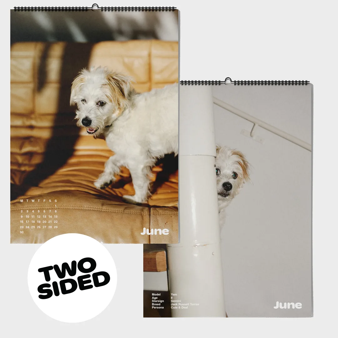 Calendar 2025: Dogs of Weserhalle