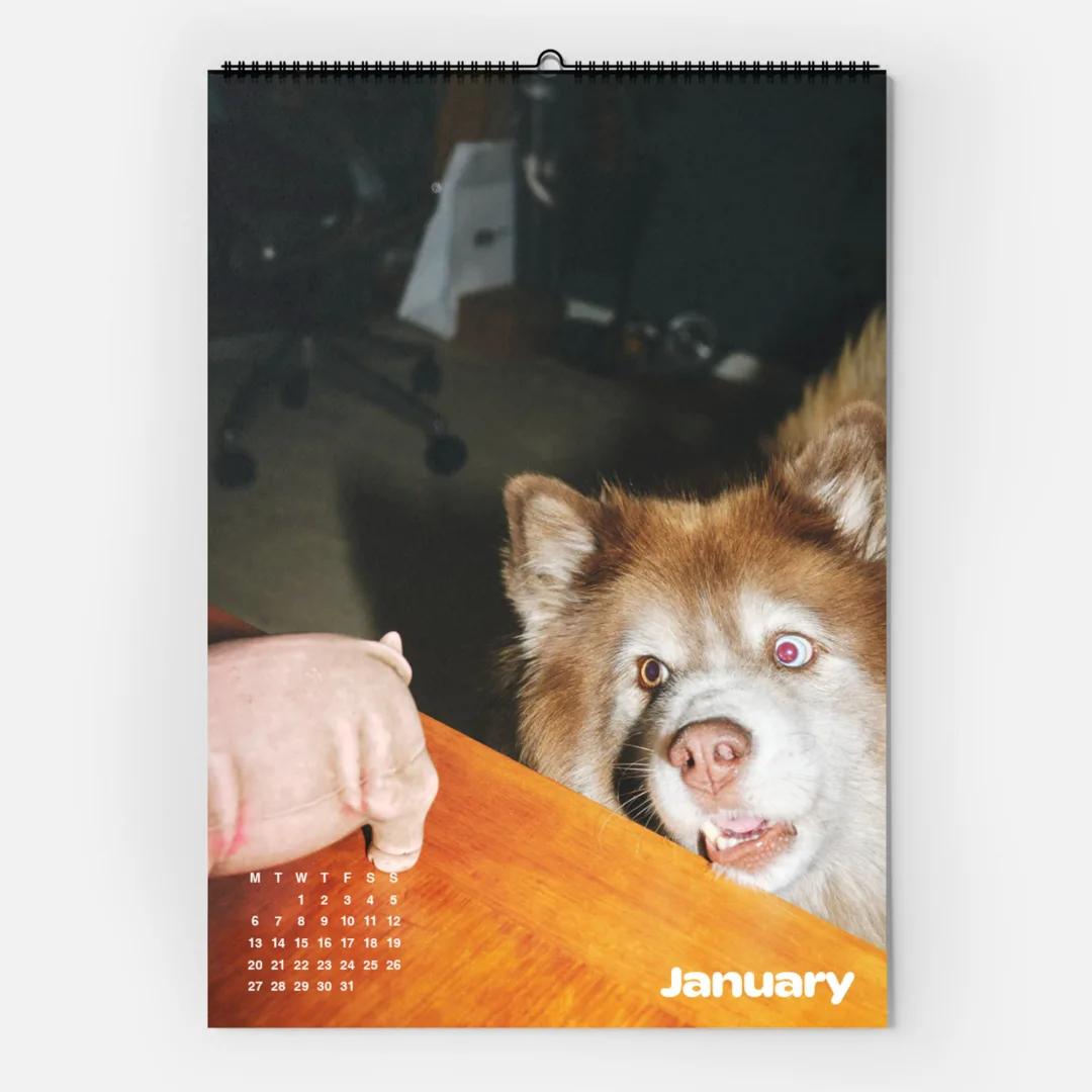 Calendar 2025: Dogs of Weserhalle