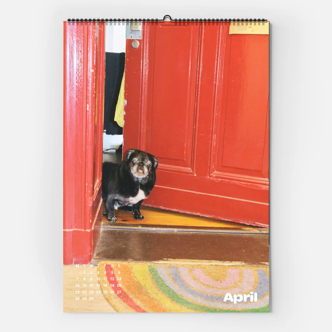 Calendar 2025: Dogs of Weserhalle