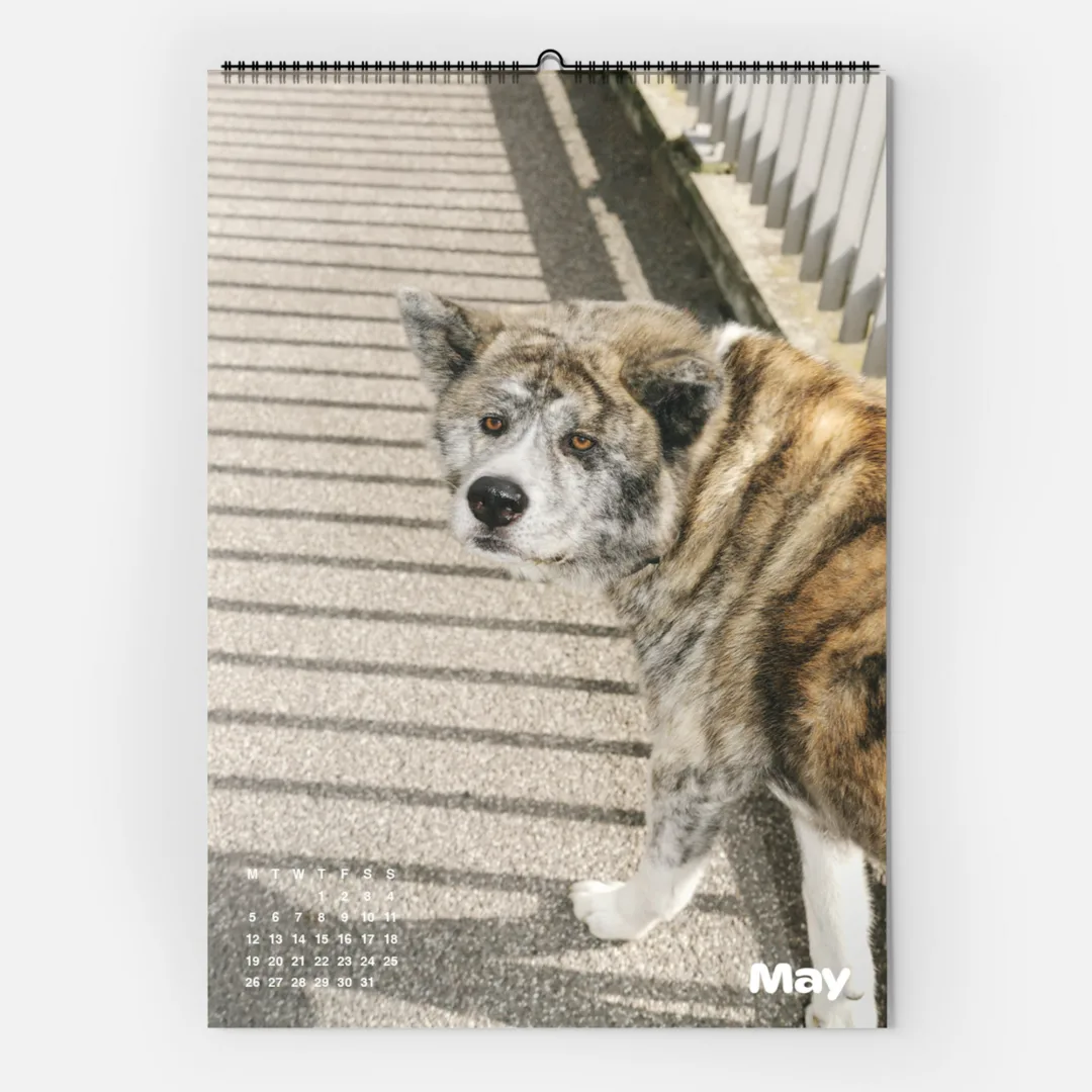 Calendar 2025: Dogs of Weserhalle