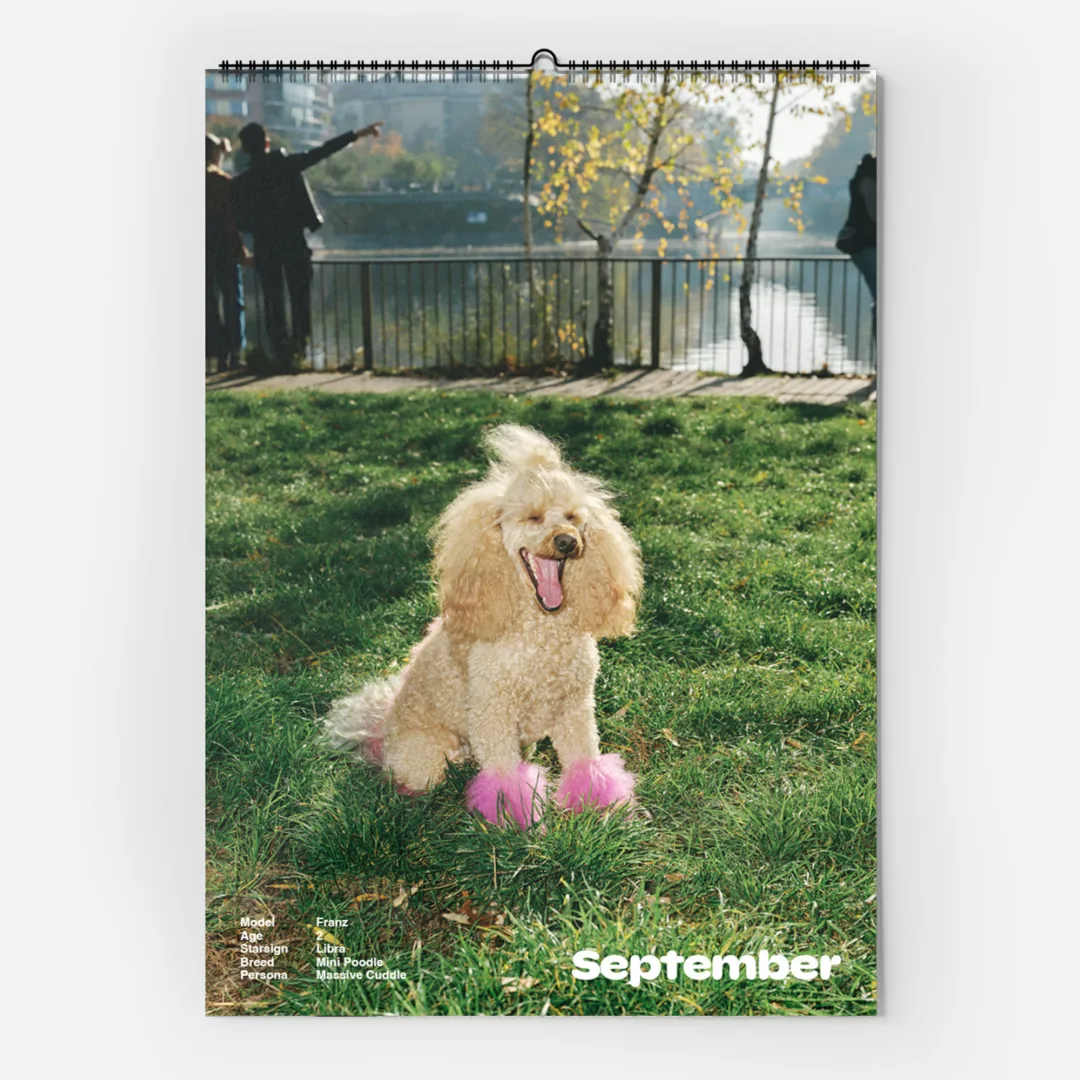Calendar 2025: Dogs of Weserhalle