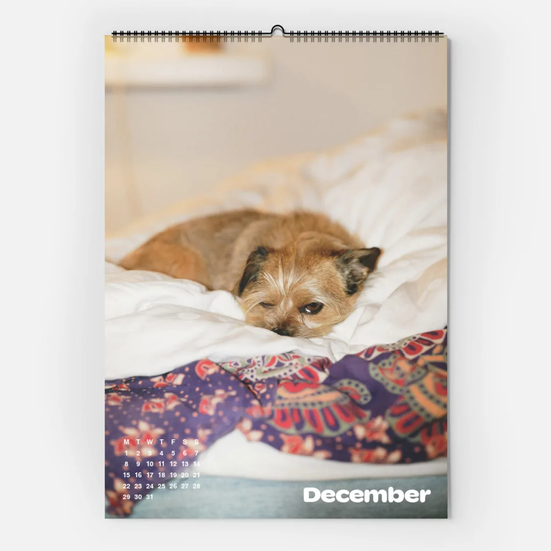 Calendar 2025: Dogs of Weserhalle