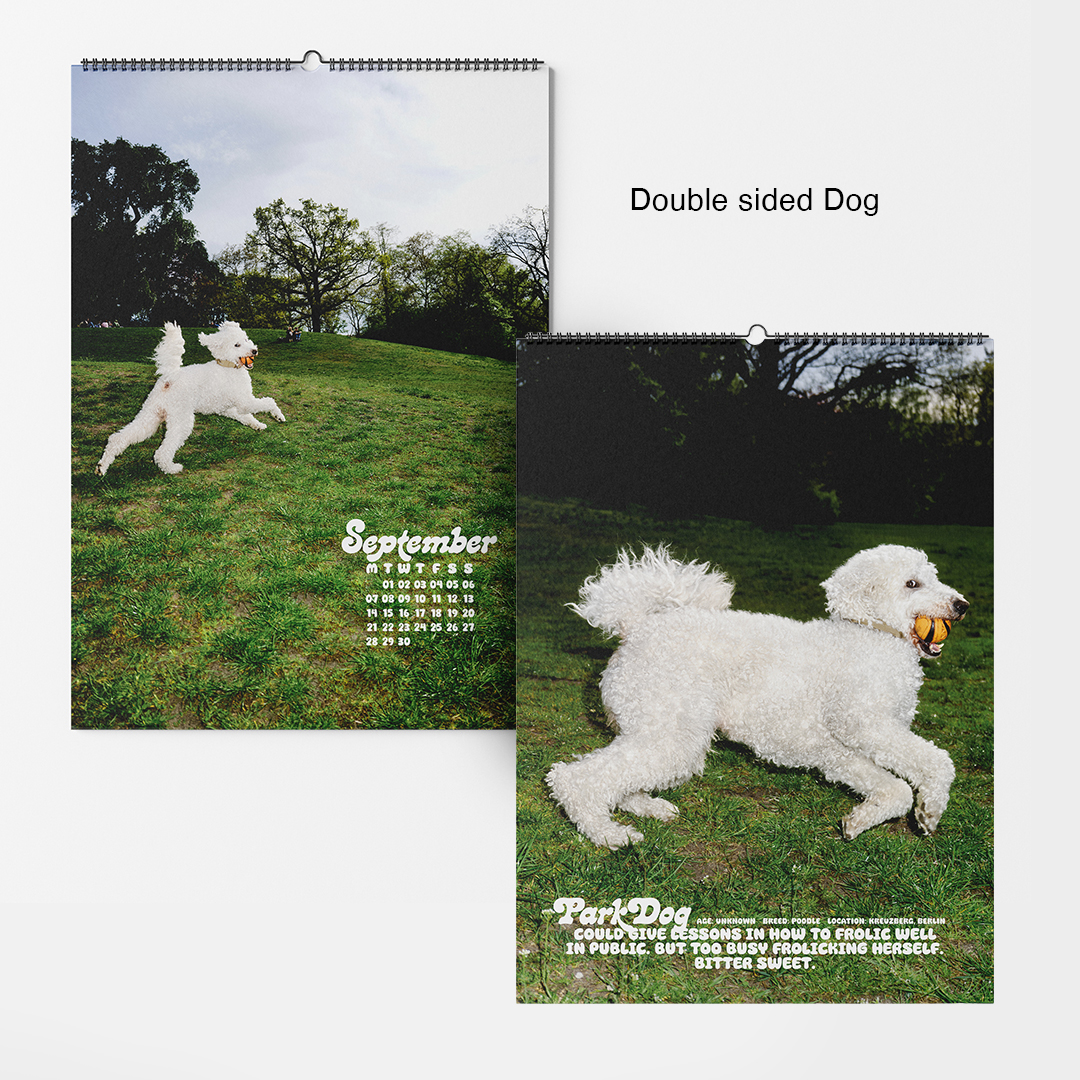 dogs-of-weserhalle-calendar-2026-01-2