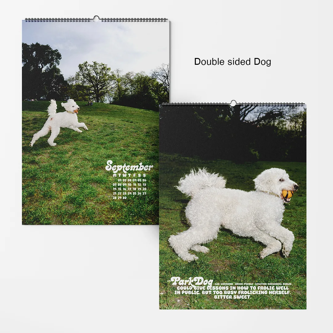 Calendar 2026: Dogs of Weserhalle