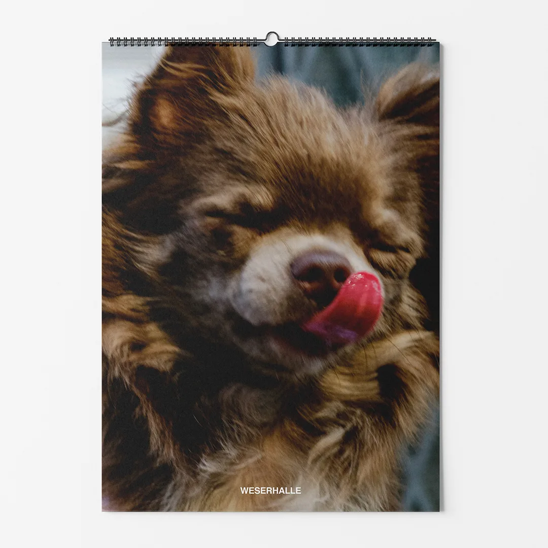 Calendar 2026: Dogs of Weserhalle