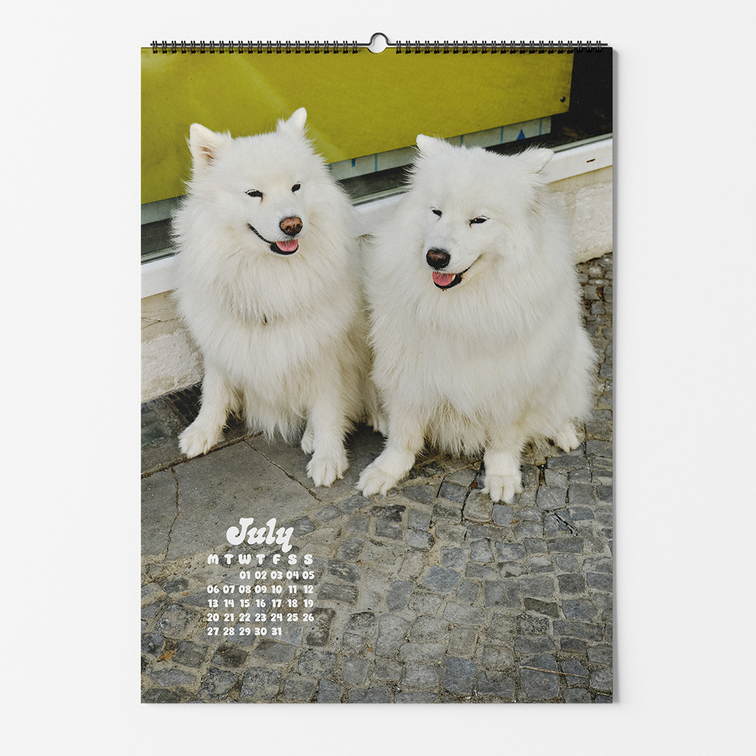 dogs-of-weserhalle-calendar-2026-01-july