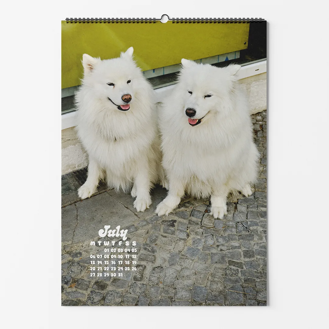 Calendar 2026: Dogs of Weserhalle