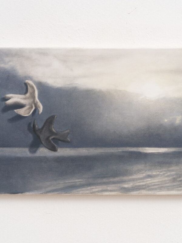 fly by