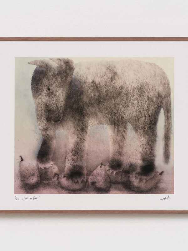 four in furr, 2025