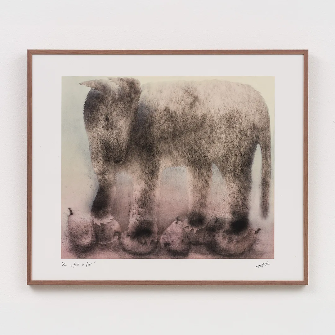 four in furr, 2025