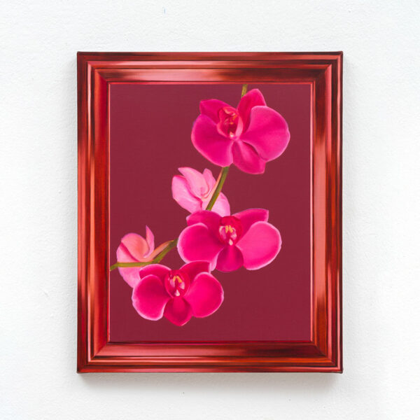 The Orchid in the Frame