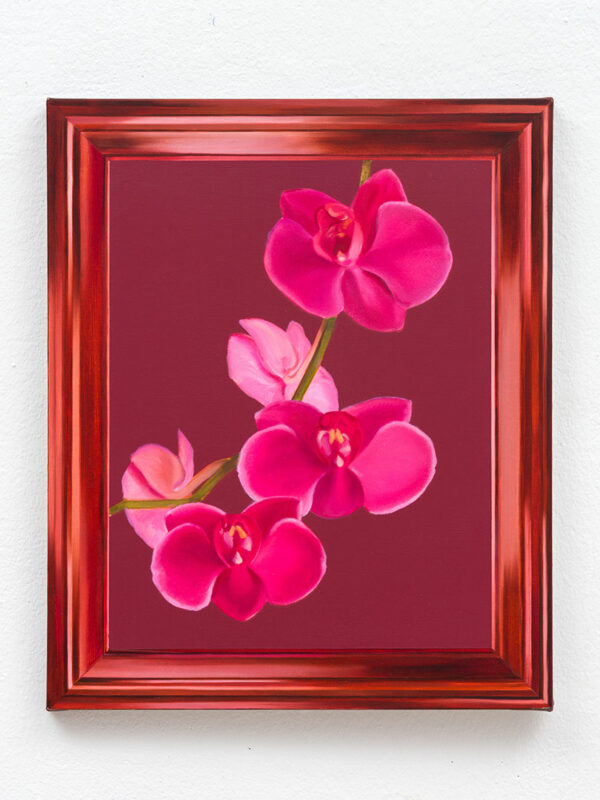 The Orchid in the Frame