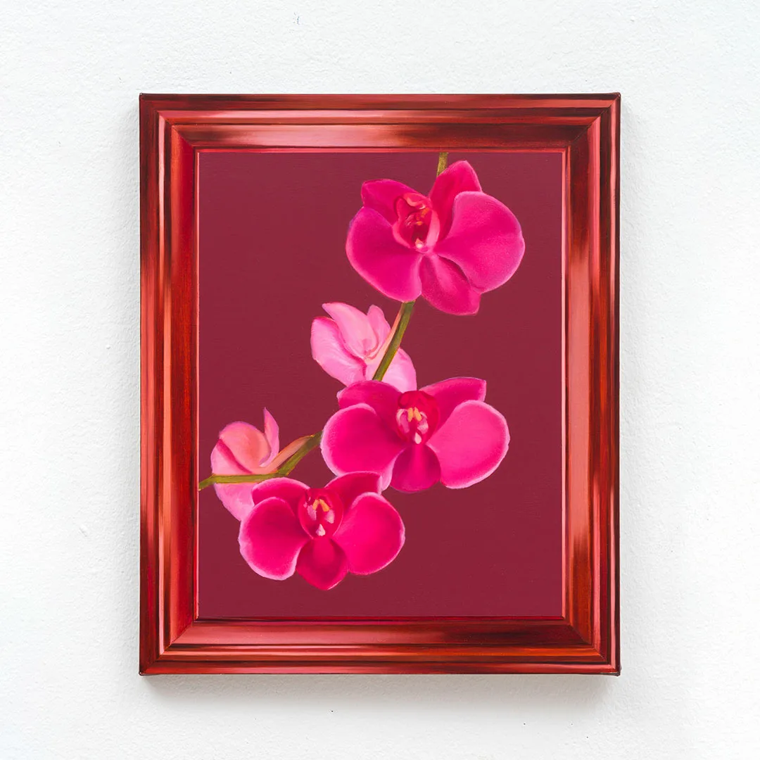 The Orchid in the Frame