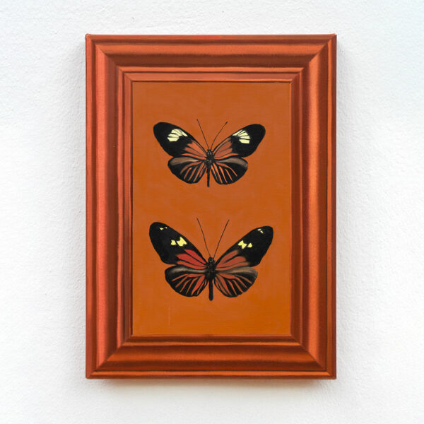 The Butterflies in the Frame