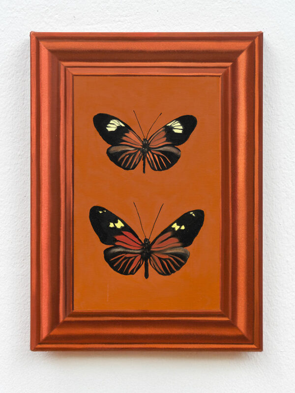 The Butterflies in the Frame