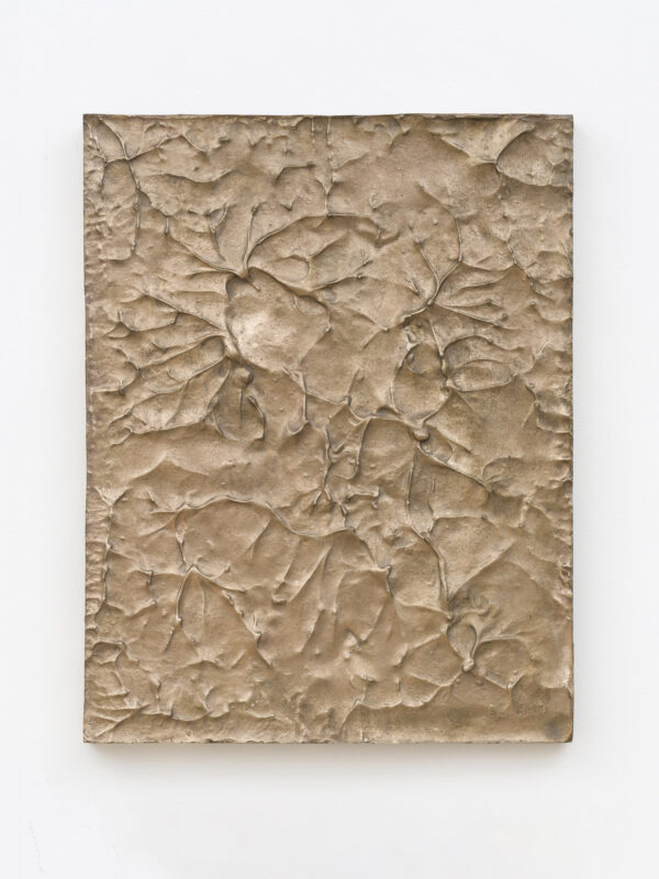 Meringue
