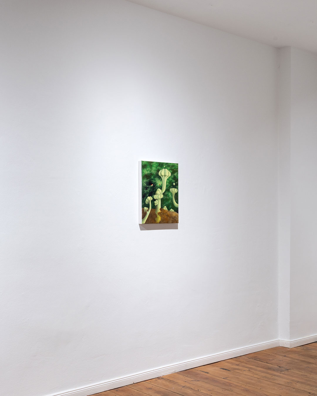 Cladonia-Garden-2025-2-Arang-Choi-Weserhalle