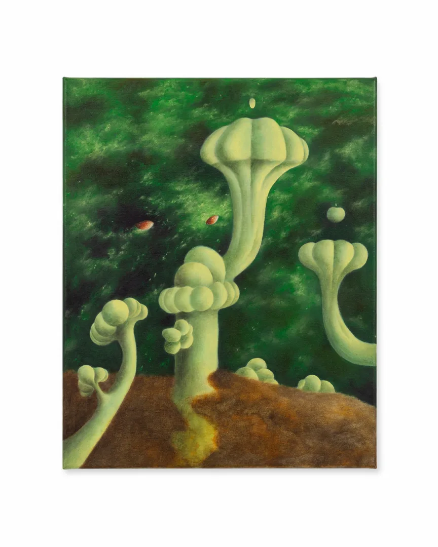 Cladonia Garden, 2025
