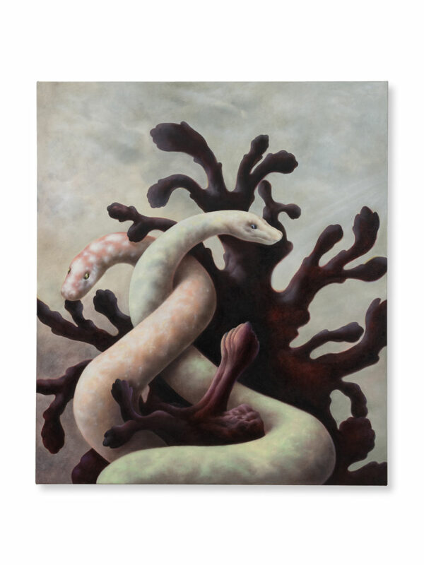 The Snake Charmer