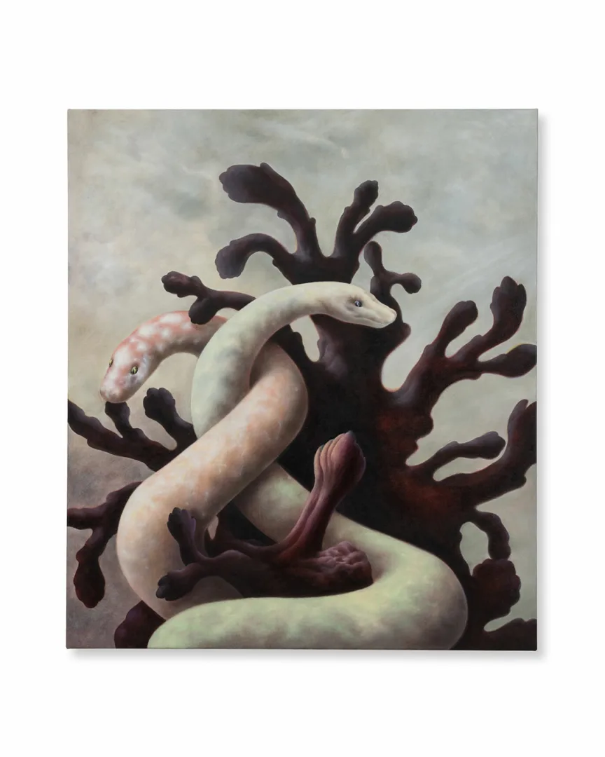 The Snake Charmer, 2025