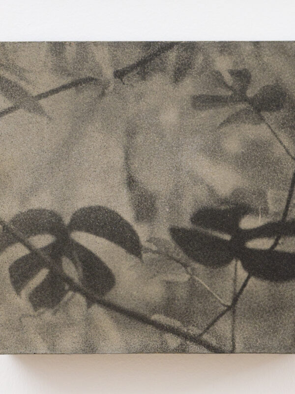 Urwald, Paris (Detail), 2025